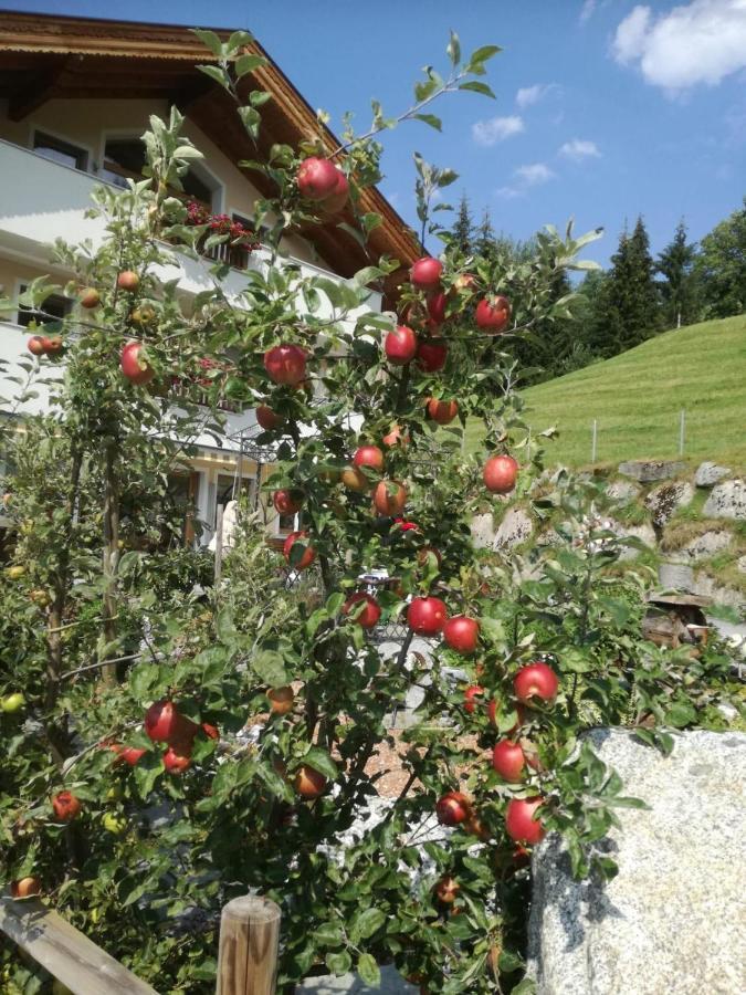 Ferienwohnungen Hinterstein Hart im Zillertal Kültér fotó